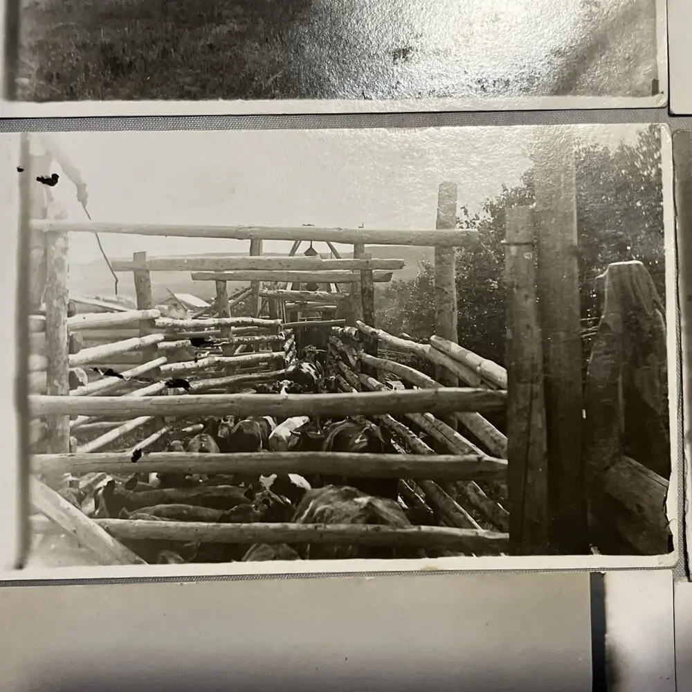 C1910 RPPC 6 Settlers Pioneers Farms Homesteads